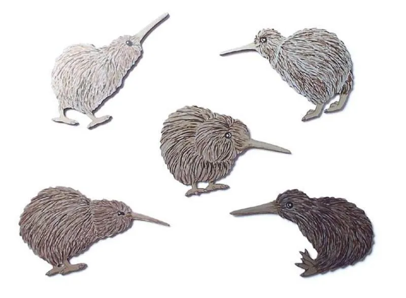 Flock of 5 Kiwi Birds Wall Art