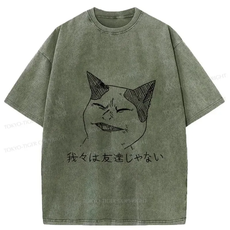 Tokyo-Tiger Cold Cat Washed T-Shirt