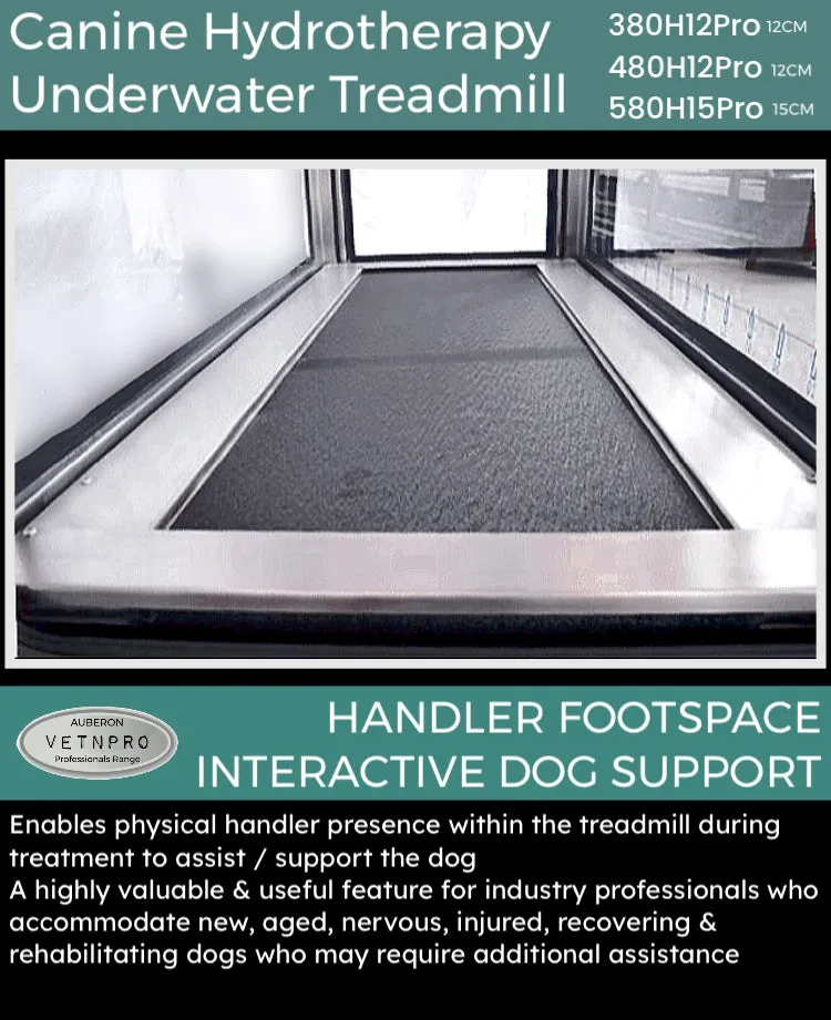 Underwater Hydrotherapy Treadmill 3HP VPER480H12 w/ Entry Ramp   interactive HANDLER Assist Pro Clinic Commercial earning potential