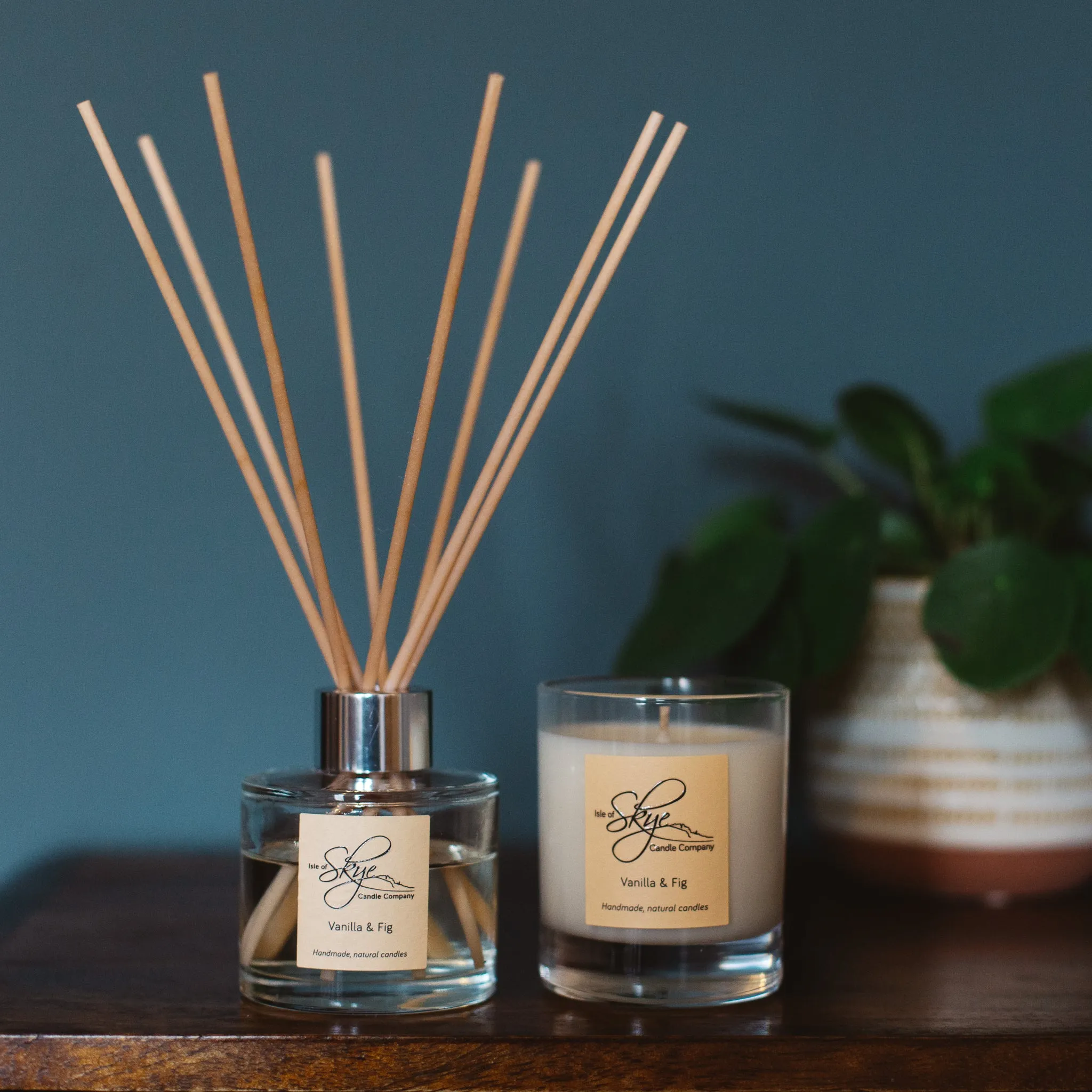 Vanilla & Fig Reed Diffuser Bundle